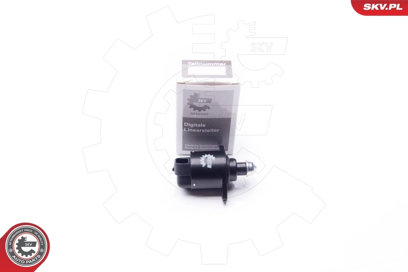Idle Control Valve, air supply